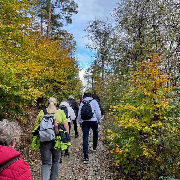 Wanderung beim Betriebsausflug von PKF Fasselt