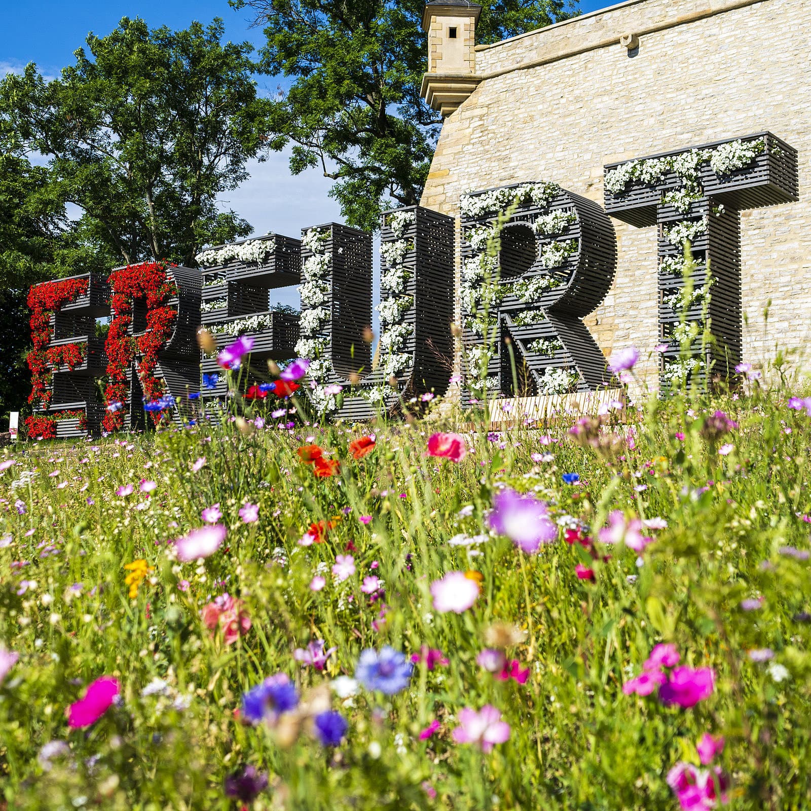 Blumengeschmückter Erfurt-Schriftzug auf dem Petersberg